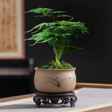 ���s����С�~��̴��������մ����L͸��Gֲ����������[�����бP