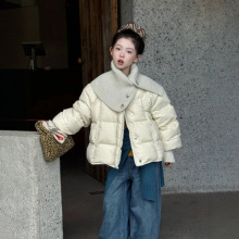 �F؛Ůͯë���I����2025�¿��w���q�޷����\