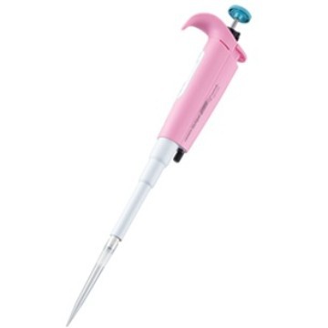 2024-11-13 10:36:20.jpg