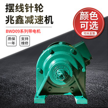 小型减速机BWD09系列卧式摆线针轮可带电机传动装置精密传动