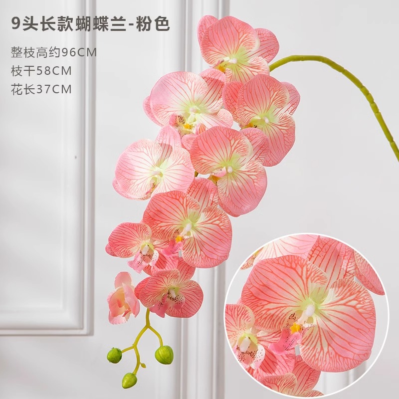 9 포크 phalaenopsis 핑크