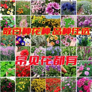 ���N���ļ��������̨ͥԺ�r�����տ�޹�²��ذ�̫ꖻ��N���ݴ�ȫ