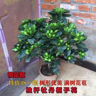 ���U�d�ӻ����ļ��_�����~ĵ�����ԝ����Ϳ͏d�̨������