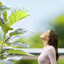 �S��ֱ�Nˮ�����~���簲ˮ�Gֲ���~�����˽��҃��������ԑ���ֲ��