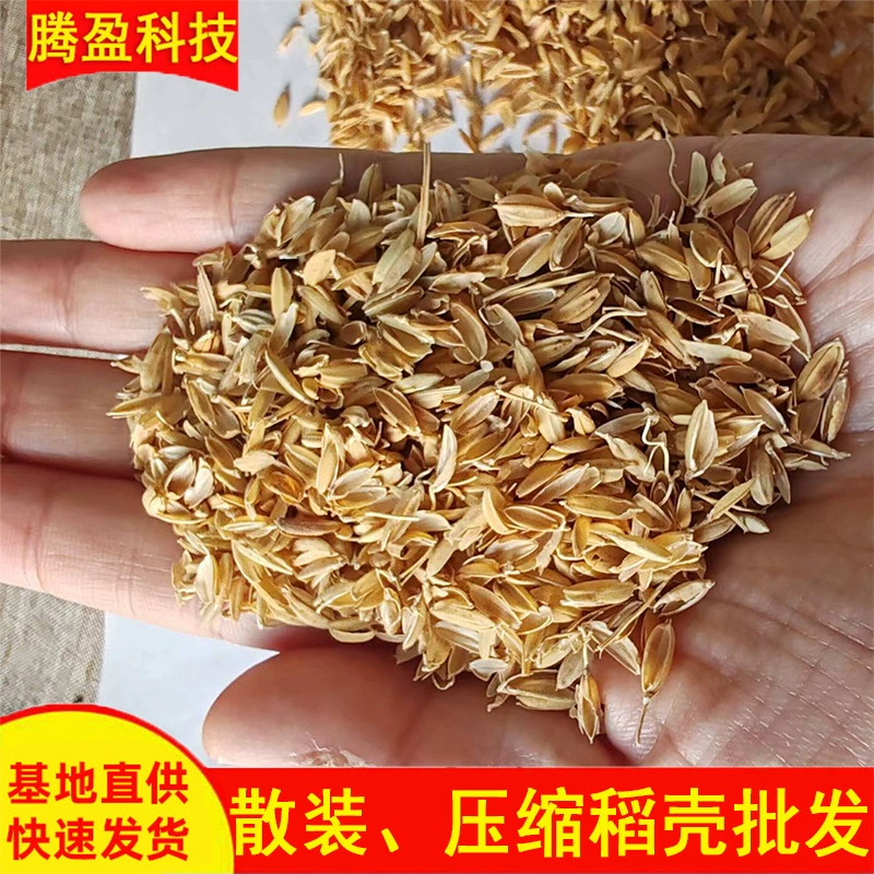 Подстилка из рисовой шелухи, грубые отруби, рисовые отруби, наполнитель подушек для кормления кур, рисовая шелуха для пивоварения, свежее удобрение для подстилок для домашних животных