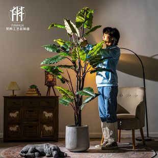 �٘�ʺ����辰�Ꭷ���֘�Gֲ�쾰�҃ȿ͏d�b[��������ܿ�