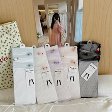26������Ʒ�n��r��õ�廨�Q�l�W��͸���z�m�������������Ѷ��m
