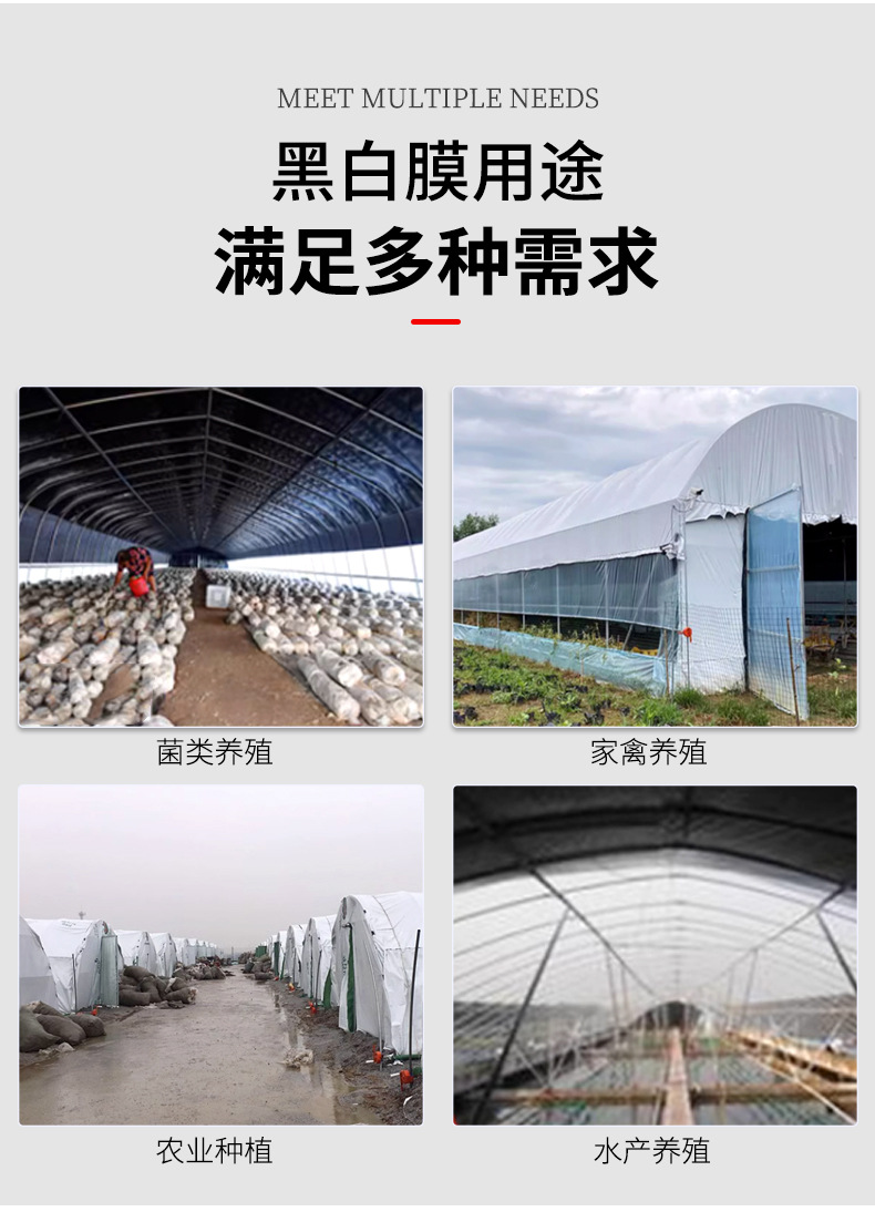 彩华塑料_15.jpg