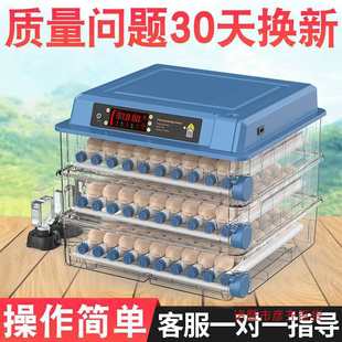 Fully Automatic Intelligent Incubator, Small Household Egg Incubator, Machine Incubator for Incubating Rutin Small Eggs, Incubator Incubator