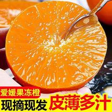 四川爱媛果冻橙大果橙子薄皮当季新鲜水果整箱批发8斤预售