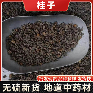 �{���u�����l ɢ؛ �V������� ���� ���� ���� ����