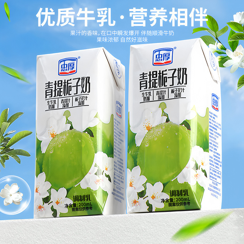 忠厚青提栀子牛奶整箱儿童营养早餐奶饮品/盒酸性乳饮料|undefined