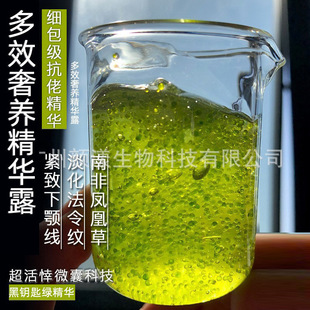 ��Ч���B���A¶��耳׾G���A�Ϸ��P�˲ݶ�Ч���o���y���A¶�S��