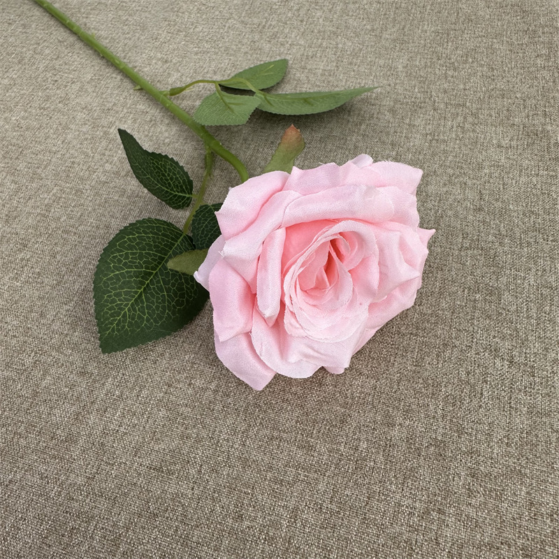 Single scrolled rose pink