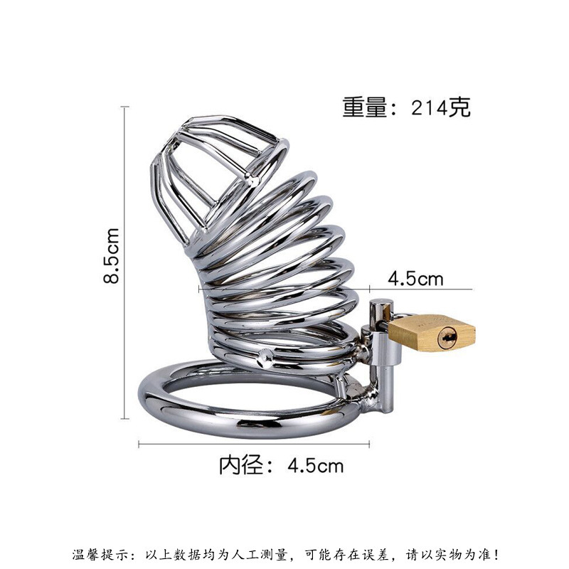 Metal Male Chastity Cage Lock, Snake-Style Birdcage Design, Adult Abstinence Training Device — detail image 1