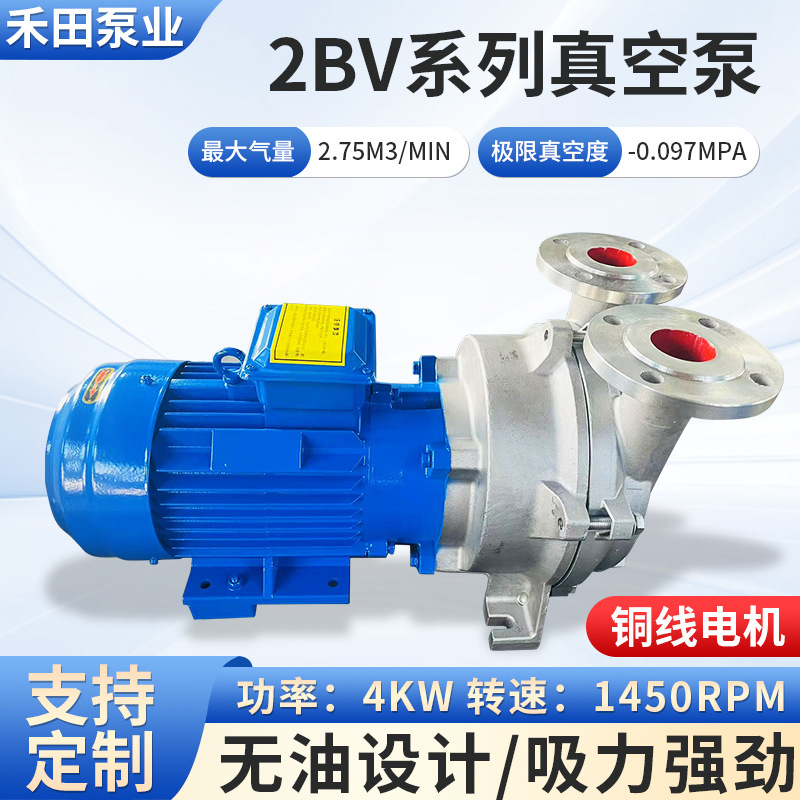 淄博2BV系列水环式真空泵铸铁不锈钢工业用水循环真空泵压缩机