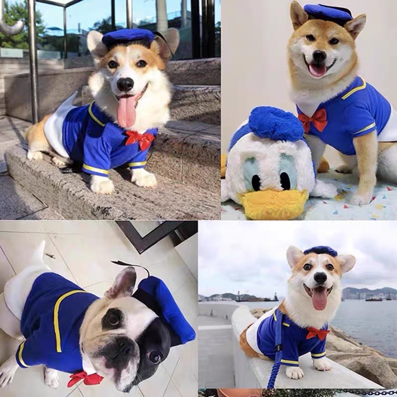 唐老鸭狗衣服宠物变身装服饰造型服创意宠物衣服猫咪衣服柯基衣服