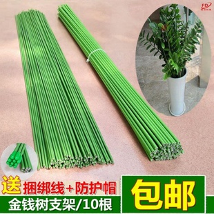 Cultivation of Pastoral Flower Flower Support Styling Support Rod Gardening Fixed Vegetable Green Planting Tie for Household