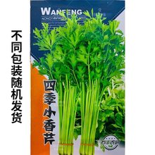 ļС۷NӷN۲ԲСѷN߲˲˷NݲR