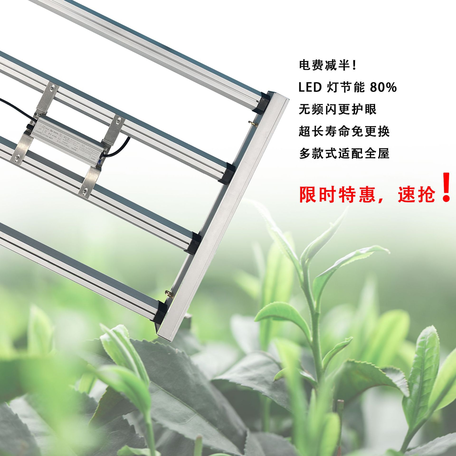 �羳���Ҵ���LEDֲ���200Wȫ����ֲ�����������