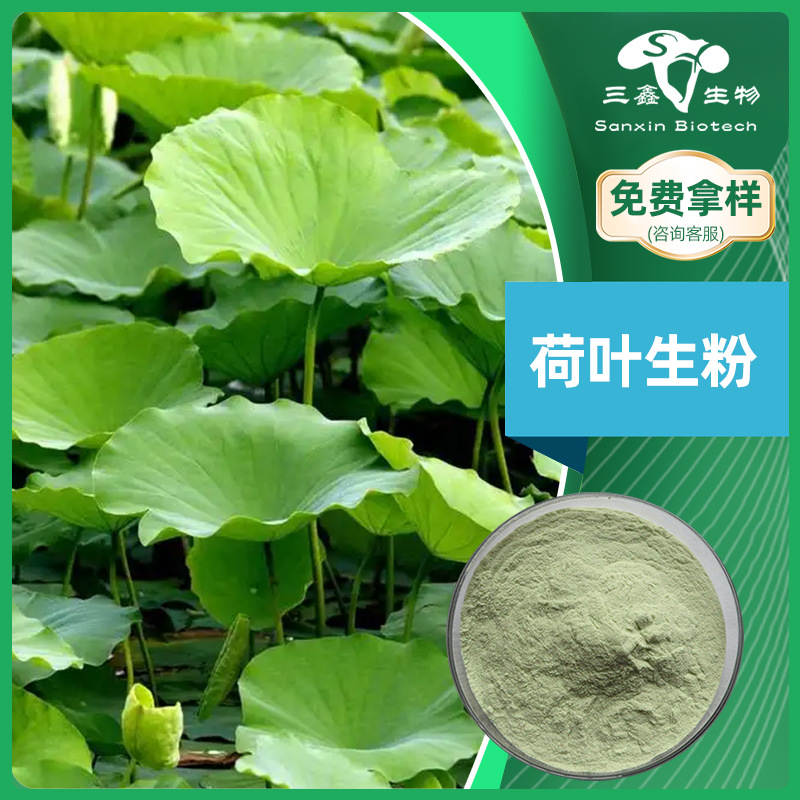 荷叶生粉99% 中药材绿荷叶提取物原料 植物天然萃取粉末 三鑫生物