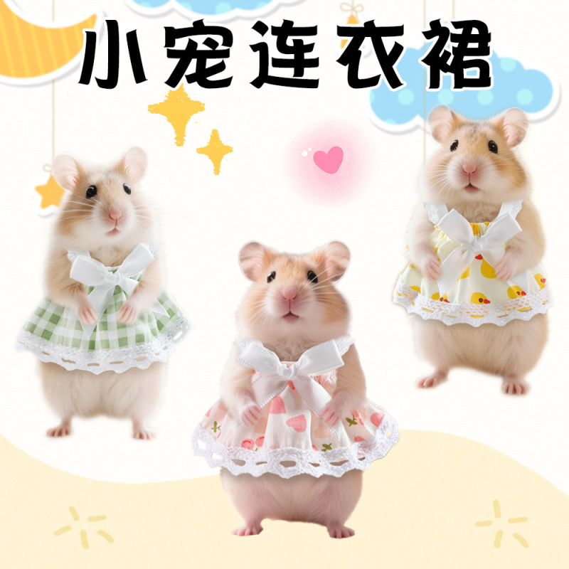 亚马逊新款夏季新款小宠连衣裙仓鼠可爱外出裙子荷兰猪金丝熊装扮|undefined