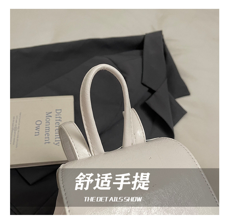 Simple, versatile and niche design women's backpack 2025 new trendy casual small backpack, fashionable travel small schoolbag Item Picture