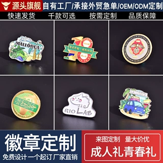 电镀胸针定制金属徽章烤漆校徽班徽企业司徽周年纪念LOGO来图制作