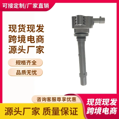 Trumpchi Ga8 Gm8 Gs7 Gs8 üçün F01R00A103 10130332040000 Alışma Bobini