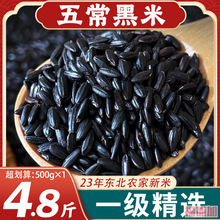 东北黑米23年五常农家新米黑香米自种五谷杂粮糙米粗粮饭团粥原料
