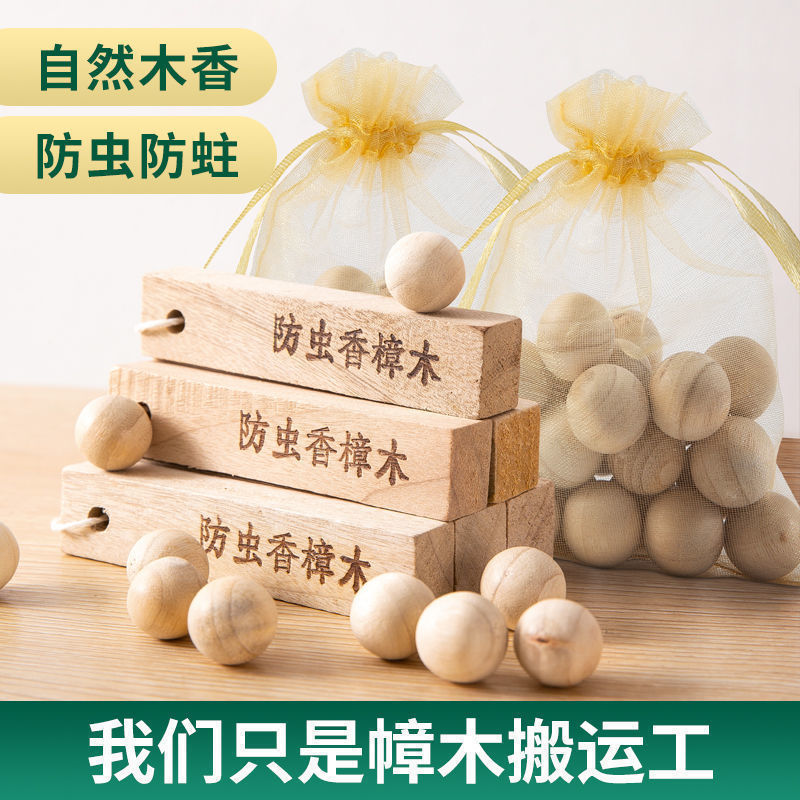 *장뇌나무 블록 1개 [10*2*1 곰팡이 방지, 방습, 방충]