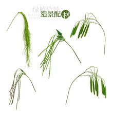 �پGֲ�b����҃ȾGɫСֲ���쾰�廨����b���΢���^�[��