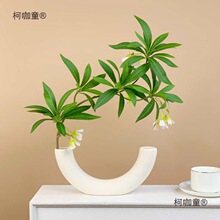 �Gֲˮʯ�Ż���ֲ��͏d�廨�����b�Ʒ�ٻ����[���[�O��̫��