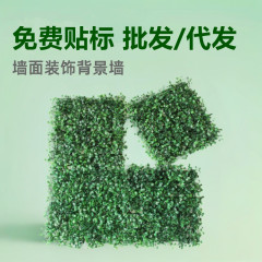 クロスボーダー緑植壁シミュレーション植物壁面装飾背景壁緑化人工偽草皮プラスチックミラノ芝生