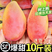 �����F��â10�����râ��ˮ������������t������������â�������