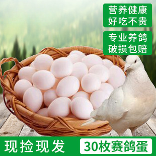 ���ӵ���S���]���r�󂀃��|������15-60öɢ�B�����Y���ЋD