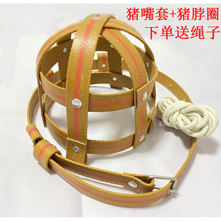 �¿�Ӻ�ĸ�i����ĸ�i��ҧ���i����С�i��ҧ�F؛�ٰl���Sֱ�N����