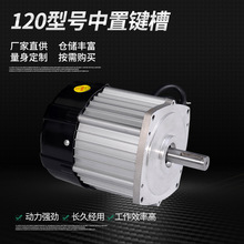 厂家直销无刷120型号差速电动车电瓶车直流无刷电机 铜芯链条电机