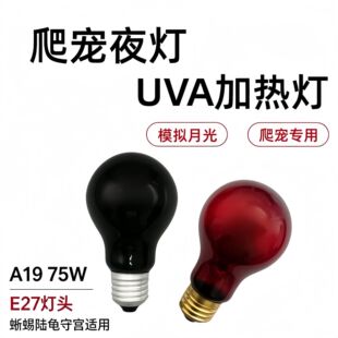 ���Ϻ� A19 ���x�ӟ�� �t�⾀�¹�ҹ�� 75W �����������UVA ��