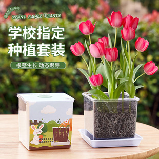 ������N�����b��ͯ�NֲС���Ԍ��ֲ��ˮ���ļ��_�������B�҃Ȼ�