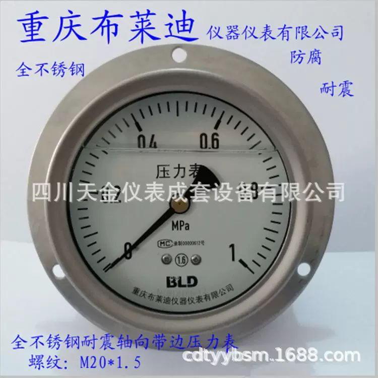 重庆布莱迪仪器仪表有限公司YTN-100HZT不锈钢耐震压力表M20*1.5