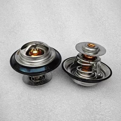 6746-61-6210 Thermostat is economizer