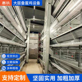 大层叠蛋鸡养殖设备层叠式蛋鸡笼农牧蛋鸡自动清粪笼定制机械