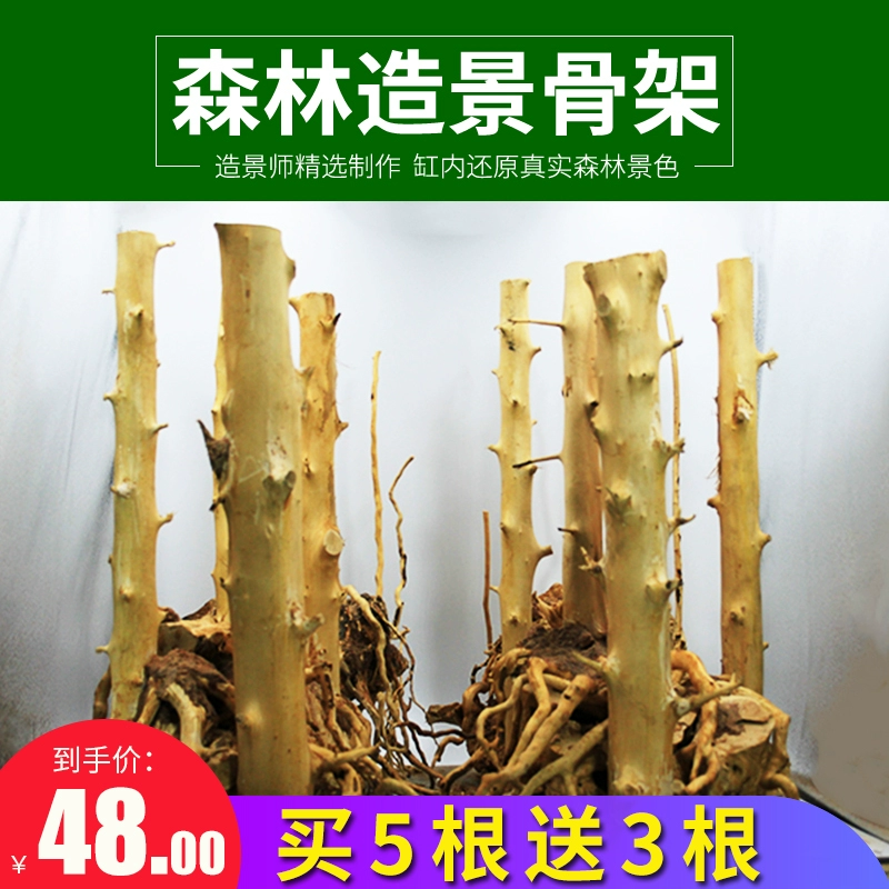 Сугеный лесной ландшафтный скелет готовый аквариум аквариум травяной аквариум начинающий гостиная декоративная игольчатая опухоль деревянная колючая древесина пакет