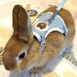 兔兔牵引绳可调节防挣脱兔绳宠物兔子防咬可爱风溜外出兔绳
