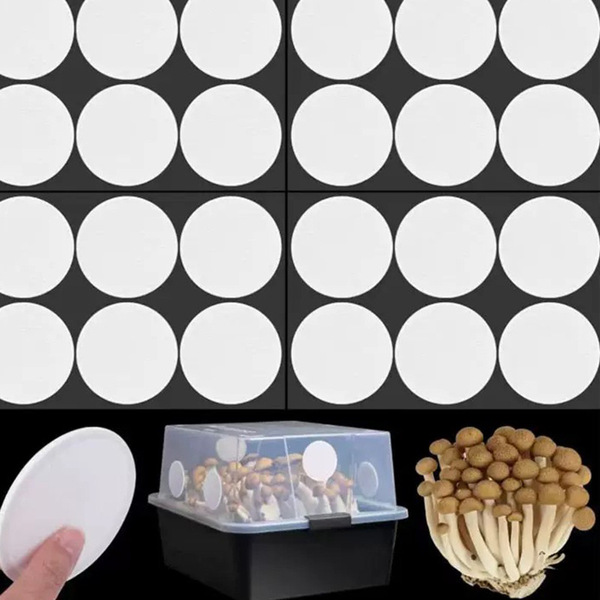 Adhesive filter with clove mushrooms