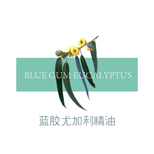 �{�z�ȼ������͆η����s�����~����ˮ��޹��Ħ���w�o������ԭ��