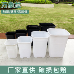 万象盆角型植木鉢日本式高腰プラスチック育苗多肉盆卸売りは通気性養殖基地の鉢植えを厚くする