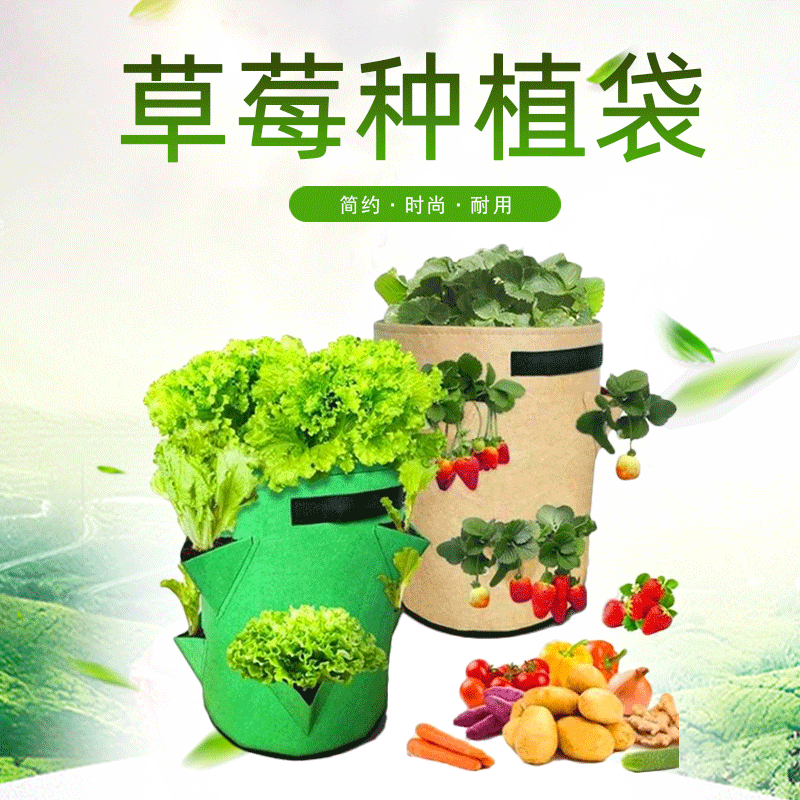 跨境貨源草莓土豆種植桶 圓形開口毛氈花園蔬菜植物袋種植包
