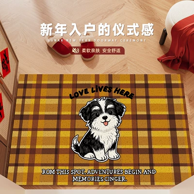 Avtomobil döşəmə paspasları – Entrance Door Mat - cute-dogs-have-love-4060cm-silk-circle